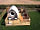 Lee Wick Farm Cottages and Camping: Armadilla exterior