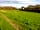Roey's Retreat: Camping field