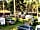 Campingplatz Wusterhausen: Sunny and shaded spots (photo added by manager on 11/09/2016)