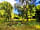 Ryeford Ponds Glamping: Lush green even in the peak of the Summer!