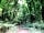 Brocklands Farm: The abandoned railway is a lovley walk and is right next to camp