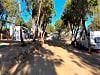 Camping Village Capo d'Orso: Uno dei viali con piazzole (photo added by edoardo_m264768 on 09/26/2025)