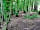 Butcombe New Woods: Nearby trails around Blagdon Lake