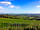 Pilsdon View Camping: View of Marshwood Vale