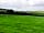 Cool Cow Camping: Grassy pitches