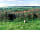 Lathkill Wild Campsite