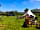 Camping Westmoor Farm: The site