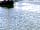 Glasson Dock Campsite