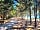 Camping Le Matin Calme: Spacious shaded pitches for tents and caravans