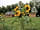 Pillars of Hercules Organic Farm: Farm buildings (photo added by manager on 21/01/2023)