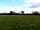 Brooklands Farm Camping: Grass pitches