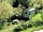 Rocombe Valley Retreat: View of hut and pond (photo added by manager on 29/09/2015)