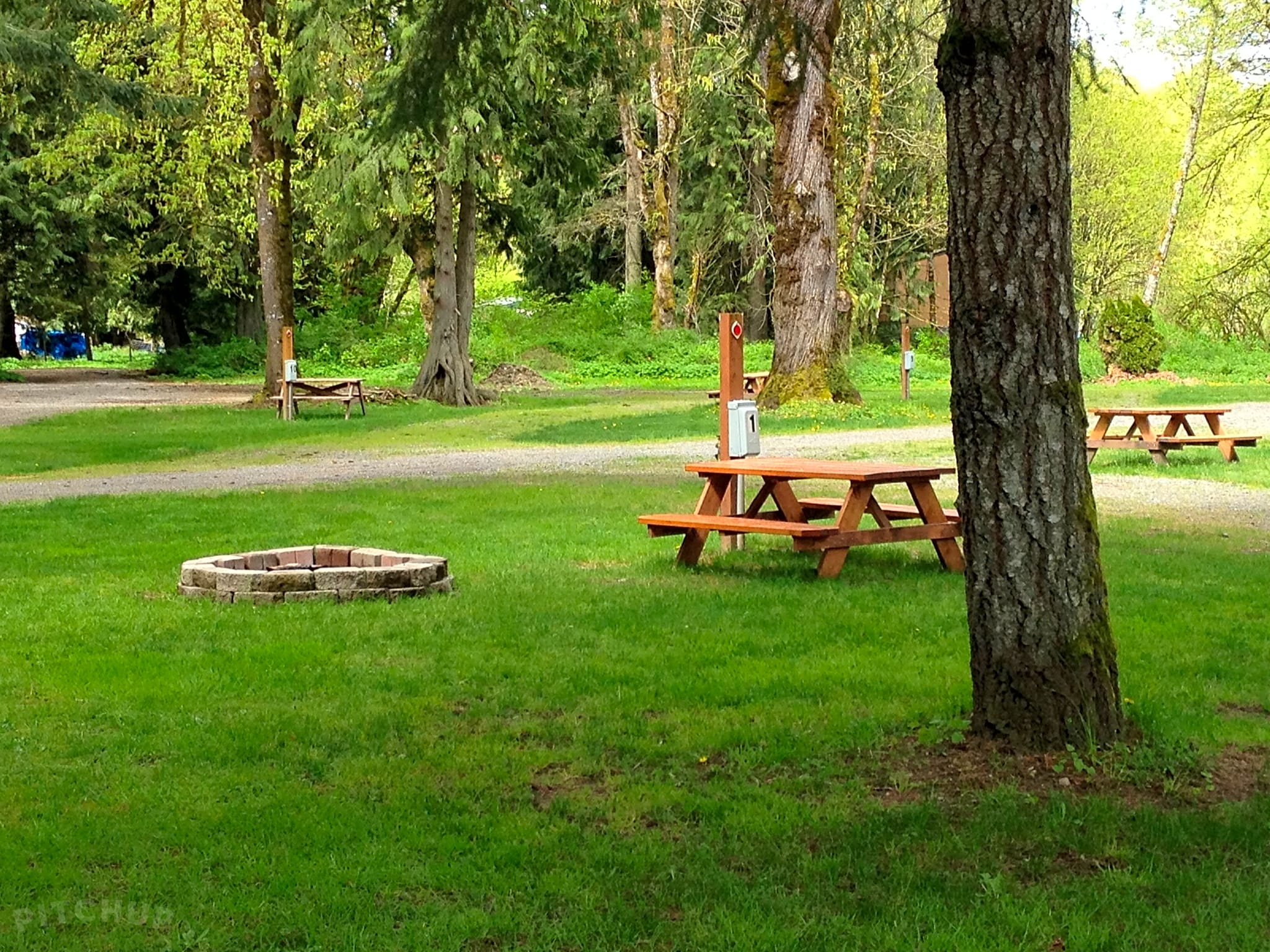 Riverbend Campground, Olympia Pitchup®