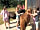 Freizeitpark Camping Schüttehof: Children's zoo and pony rides