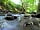 Redwood Valley - Woodland Cabin and Yurts: Short walk to the brook that marks the border of England and Wales (photo added by manager on 10/07/2018)