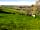 Mattiscombe Farm Camping: Mattiscombe Farm cows out to fresh grass