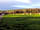 Portesham Dairy Farm Campsite: Grass pitches