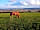 Quarry Farm: View from my van