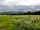 Great Glen Yurts