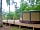 English Forest Experience: Woodland-based yurt (photo added by manager on 14/08/2022)