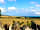 Pittaford Farm Holidays: View towards the sea