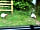 Moss Hagg Farm Campsite: Just going for a stroll