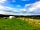 Mullacott Farm: Camping field