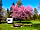 Camping am Pilsensee: Spring colours at the site