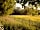 Dorset Glamping Fields (photo ajoutée par le gestionnaire le 11 mars 2021)