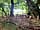 Ashcombe Woodland Campsite: Wind breaks