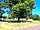 Willenhall Way