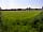 Godwin's Caravan and Camping Site: Pitches in summer (photo added by manager on 27/07/2016)