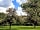 The Cider Orchard
