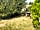 Dobella Lane Farm