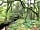 Bodmin Moor Camping: Down in the woods