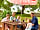 Landguard Holiday Park: Picnic Area
