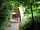 The Dome Garden: Approaching through the woods