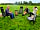 Purbeck View Campsite