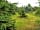 Nether Hall Farm: Trees shelter the site (photo added by manager on 29/06/2021)