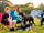 Salhouse Broad's Camping Corner: Dogs are welcome