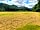 Newlands Valley Campsite