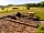 Foot of the Downs: Outdoor seating area (photo added by manager on 26/07/2021)