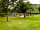 Westbrook Farm Park: Playground and recreation area (photo added by manager on 01/12/2018)