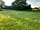 Carron Camping and Caravanning: Pheasant visiting the site