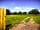 Orchard View: The entryway to the camping field (photo added by manager on 13/08/2021)