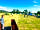 American School Bus Glamping at Petruth Paddocks: Within a larger campsite