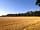 English Forest Experience: The woodland area (photo added by manager on 14/08/2022)