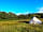 Benville Manor Camping: Bell tent nestled amongst wildflowers (photo added by manager on 07/08/2021)