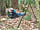Walesby Forest