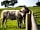 Heaton House Farm
